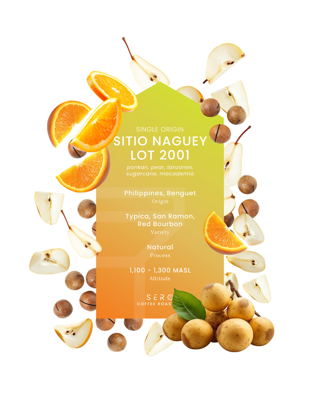 Philippines - Sitio Naguey Lot 2001, Natural