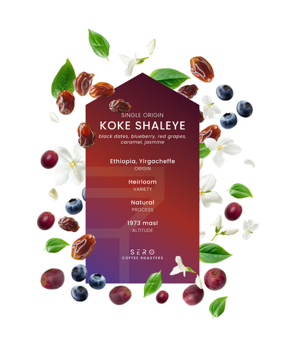 Ethiopia - Koke Shaleye, Washed