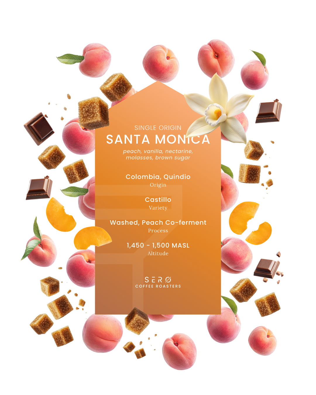 Colombia - Santa Monica, Washed Peach