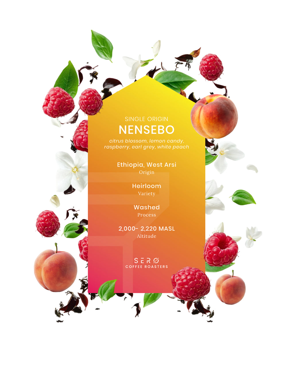 Ethiopia - Nensebo, Washed