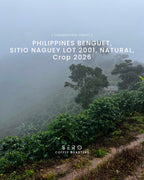 Philippines - Sitio Naguey Lot 2001, Natural