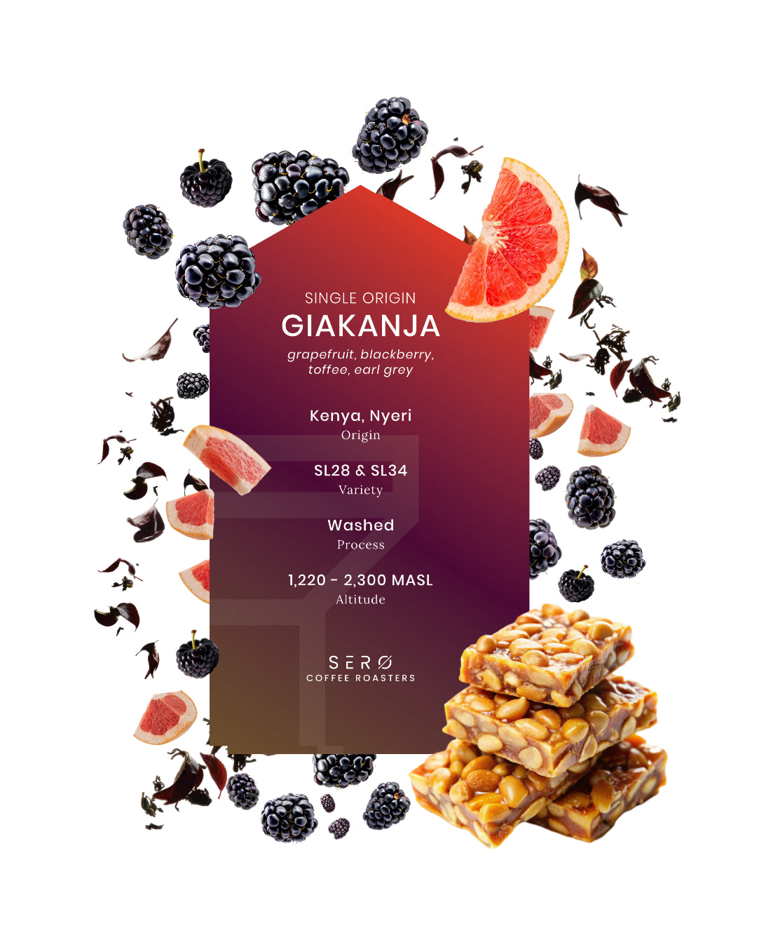 Kenya - Giakanja, Washed